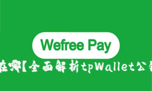 tpWallet公链在哪?全面解析tpWallet公链的特点与应用