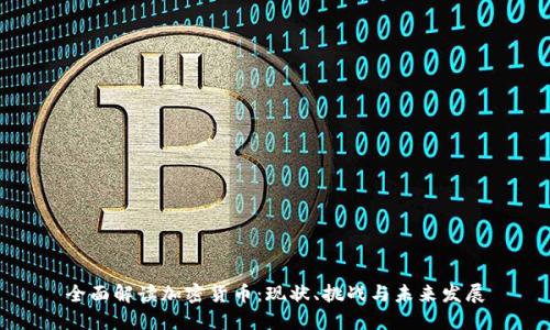 全面解读加密货币:现状、挑战与未来发展