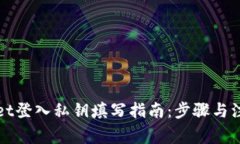 tpWallet登入私钥填写指南：步骤与注意