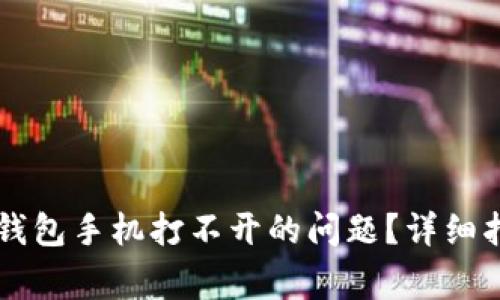 如何解决tpWallet钱包手机打不开的问题?详细指南与常见解决方案