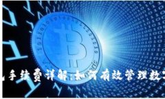 : tpWallet钱包手续费详解：如何有效管
