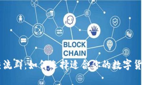 币圈交流群:如何选择适合你的数字货币社区