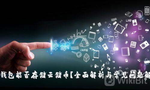 冷钱包能否存储云储币?全面解析与常见问题解答