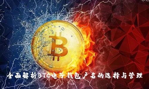 全面解析BTC电子钱包户名的选择与管理