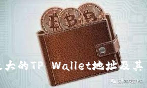 如何找到最大的TP Wallet地址及其背后的意义