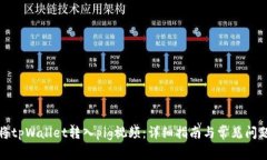 如何将tpWallet转入pig视频：详细指南与