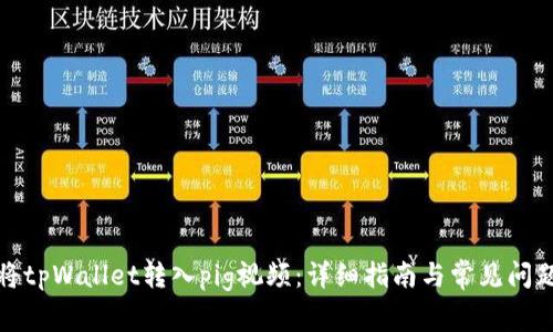 如何将tpWallet转入pig视频:详细指南与常见问题解答