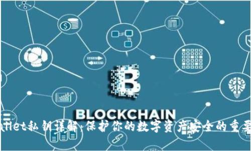 tpWallet私钥详解:保护你的数字资产安全的重要指南