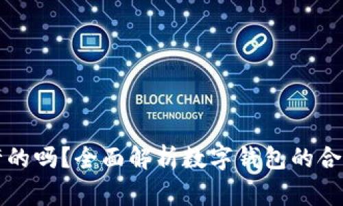 tpWallet是国家允许的吗?全面解析数字钱包的合法性与使用注意事项