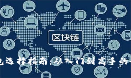 莱特币钱包选择指南：从入门到高手的全方位解析