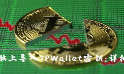 如何在电脑上导入TPWallet密钥:详细步骤解析