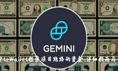 如何追讨tpWallet投资项目跑路的资金：