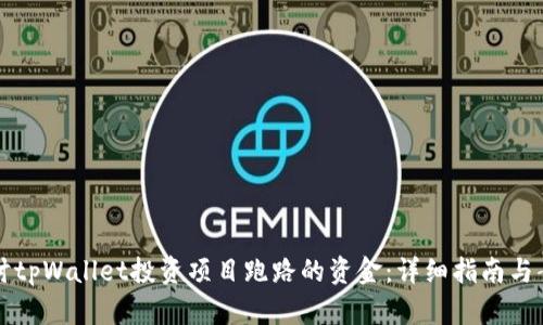 如何追讨tpWallet投资项目跑路的资金:详细指南与案例分析