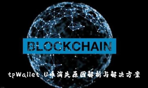tpWallet U币消失原因解析与解决方案