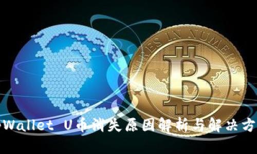 tpWallet U币消失原因解析与解决方案