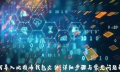 如何导入比特币钱包文件：详细步骤与
