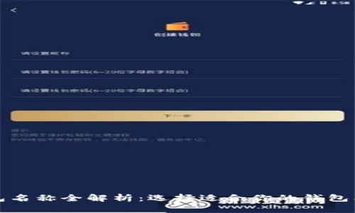 比特币钱包名称全解析:选择适合你的钱包类型与品牌