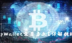 欧以提现到tpWallet需要多久？详解提现