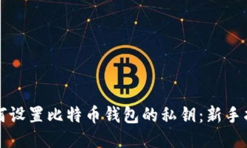 如何设置比特币钱包的私钥:新手指南