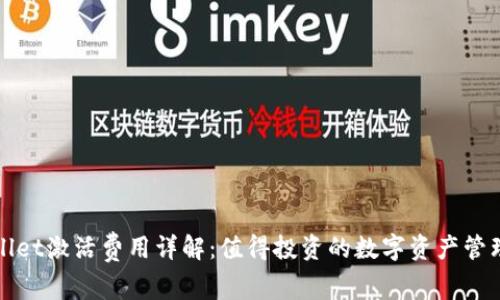 tpWallet激活费用详解:值得投资的数字资产管理工具