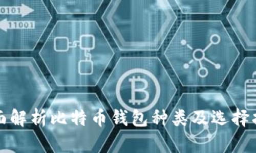 全面解析比特币钱包种类及选择指南