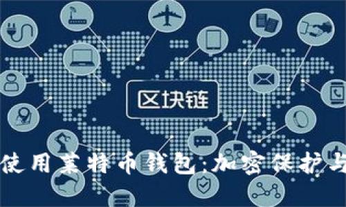 如何安全使用莱特币钱包:加密保护与最佳实践