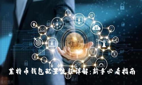 莱特币钱包配置流程详解:新手必看指南