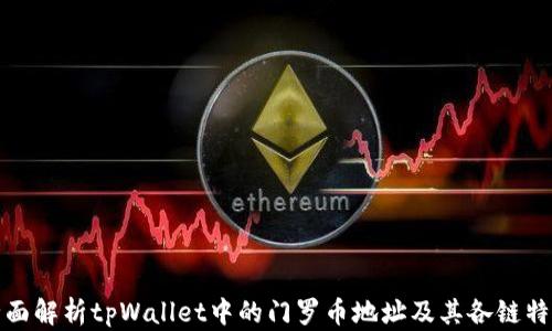 全面解析tpWallet中的门罗币地址及其各链特性