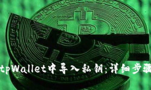 如何在tpWallet中导入私钥:详细步骤与指南