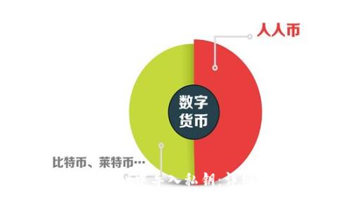 如何在tpWallet中导入私钥:详细步骤与指南