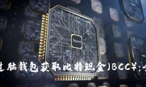 如何通过脑钱包获取比特现金(BCC):全面指南