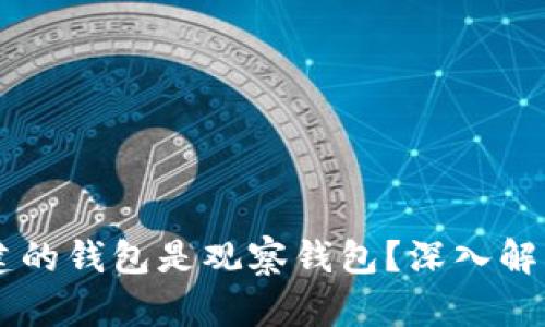 为什么TP创建的钱包是观察钱包?深入解析与使用指南