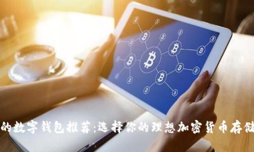 安全性高的数字钱包推荐:选择你的理想加密货币存储解决方案