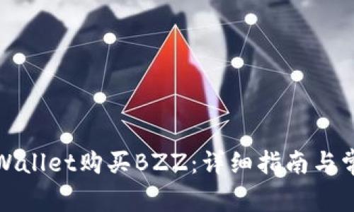 如何通过tpWallet购买BZZ:详细指南与常见问题解答