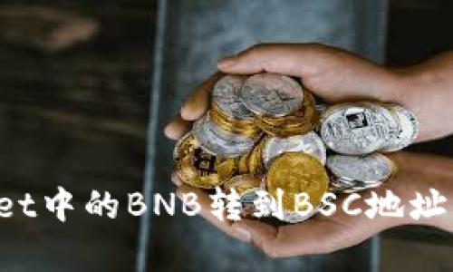 如何将tpWallet中的BNB转到BSC地址?详细步骤解析