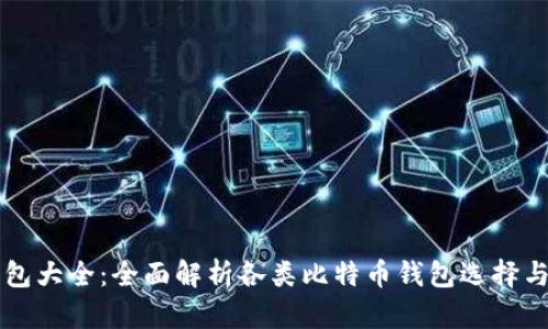 比特币钱包大全：全面解析各类比特币钱包选择与使用指南