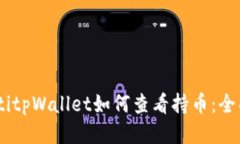 biatotitpWallet如何查看持币：全面指南