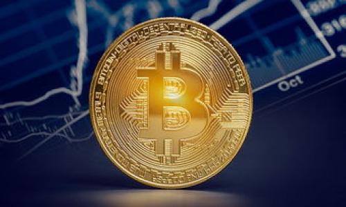 瑞波币中文钱包:新手必备的使用指南与安全建议