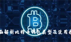 全面解析比特币钱包类型及使用指南