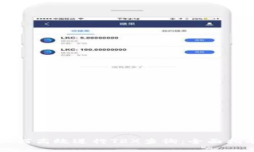 如何高效进行TRX查询:全面指南
