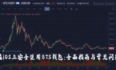 如何在iOS上安全使用BTS钱包：全面指南