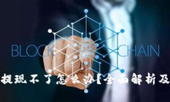 数字货币提现不了怎么办？全面解析及