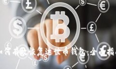 如何有效恢复达世币钱包：全面指南