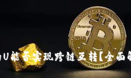  tpWallet里的U能否实现跨链互转？全面解析与用户指南