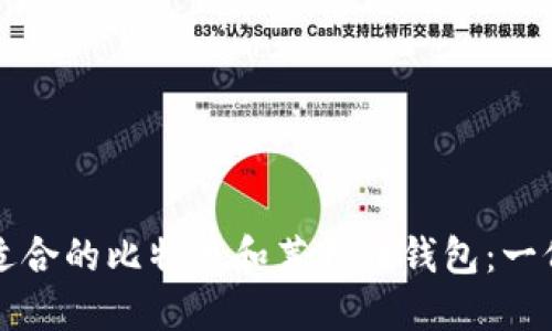 如何选择适合的比特币和莱特币钱包:一份全面指南