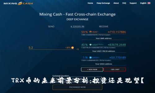 TRX币的未来前景分析:投资还是观望?