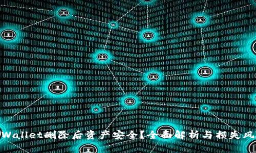 tpWallet删除后资产安全?全面解析与损失风险