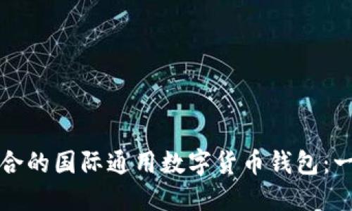 如何选择适合的国际通用数字货币钱包:一份详尽指南