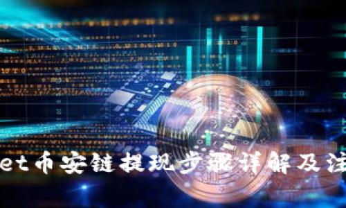 tpWallet币安链提现步骤详解及注意事项