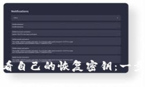 如何查看自己的恢复密钥：一步步指南